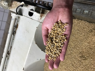 Foto von der Schwarzbr&auml;u-F&uuml;hrung