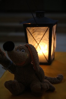 Foto von der Martinsfeier